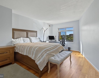 307 Yoakum Parkway - Photo Thumbnail 15