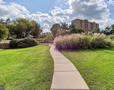 307 Yoakum Parkway - Photo Thumbnail 39
