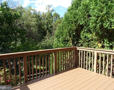 219 Tall Pines Drive - Photo Thumbnail 5
