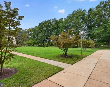 429 N Street Sw - Photo Thumbnail 28