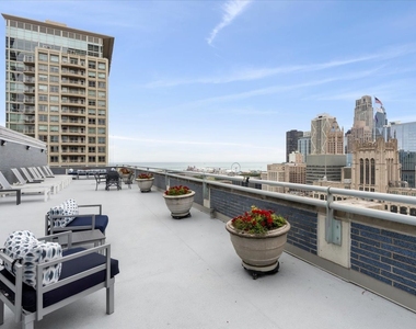 222 E Pearson Street - Photo Thumbnail 14