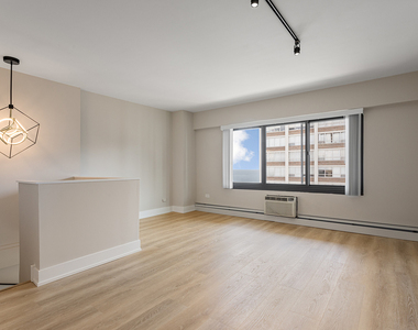 6166 N Sheridan Road - Photo Thumbnail 8