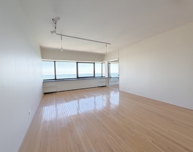 175 E Delaware Place - Photo Thumbnail 3