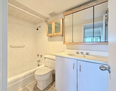 175 E Delaware Place - Photo Thumbnail 11