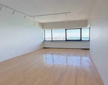 175 E Delaware Place - Photo Thumbnail 2