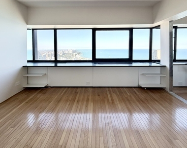 175 E Delaware Place - Photo Thumbnail 4