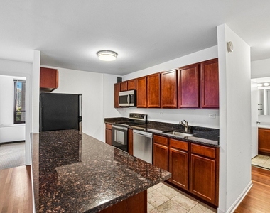 222 E Pearson Street - Photo Thumbnail 5