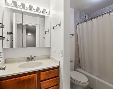 222 E Pearson Street - Photo Thumbnail 10