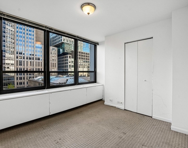 222 E Pearson Street - Photo Thumbnail 11