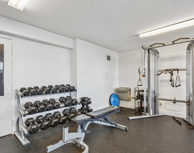 222 E Pearson Street - Photo Thumbnail 17