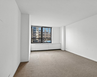 222 E Pearson Street - Photo Thumbnail 7