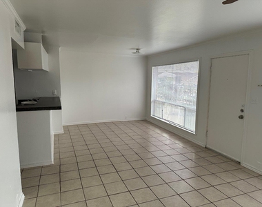 820 W Alabama Street - Photo Thumbnail 2