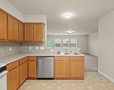 16799 Blackberry Lily Lane - Photo Thumbnail 16