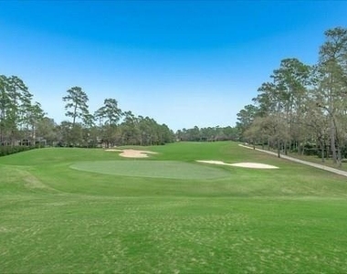 8 Buttonbush Court - Photo Thumbnail 28