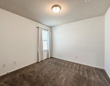 29015 Jacobs River Dr - Photo Thumbnail 11