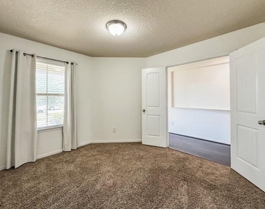 29015 Jacobs River Dr - Photo Thumbnail 29