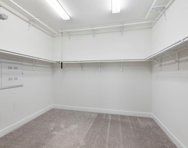 8731 Ute Creek Lane - Photo Thumbnail 19
