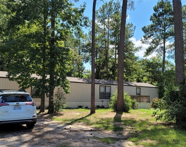 23807 Brushy Oaks Street - Photo Thumbnail 1