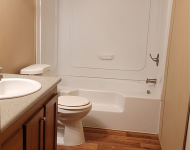 23807 Brushy Oaks Street - Photo Thumbnail 10