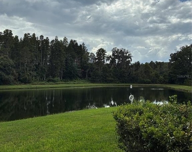 31142 Flannery Court - Photo Thumbnail 36