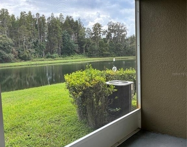 31142 Flannery Court - Photo Thumbnail 34