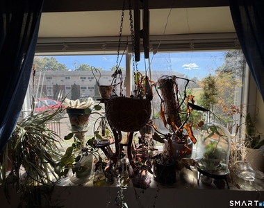 63 Glade Street - Photo Thumbnail 22