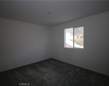30128 Truckee Circle - Photo Thumbnail 14