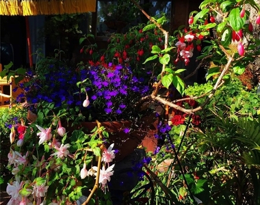 1504 Carmelita Street - Photo Thumbnail 27