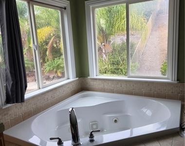 27139 Tube Rose Street - Photo Thumbnail 10