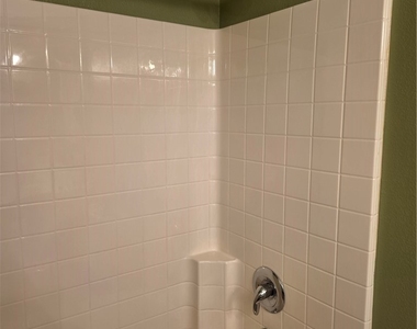 27139 Tube Rose Street - Photo Thumbnail 45