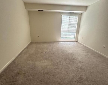 13207 Dairymaid Drive - Photo Thumbnail 21
