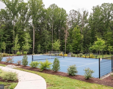3344 Pitch Pine Drive - Photo Thumbnail 38
