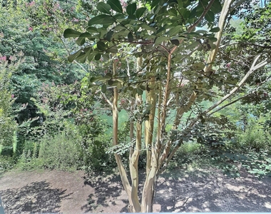 109 Weatherhill Point - Photo Thumbnail 25