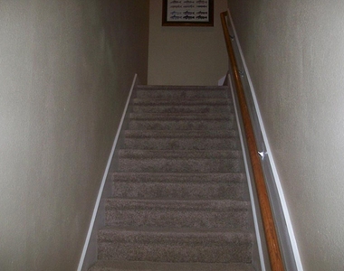 811 Bradford Avenue - Photo Thumbnail 3