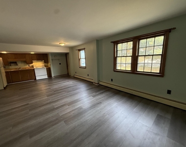 233 South - Photo Thumbnail 4