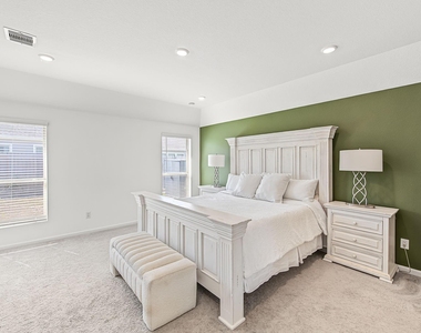 30311 Tall Fescue Drive - Photo Thumbnail 11