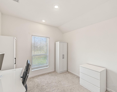 30311 Tall Fescue Drive - Photo Thumbnail 15