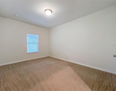 14259 Lake Preserve Boulevard - Photo Thumbnail 25