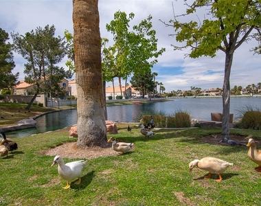 2513 Sea Venture Drive - Photo Thumbnail 39
