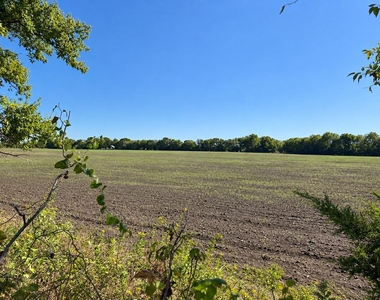 8560 County Road 513 - Photo Thumbnail 10