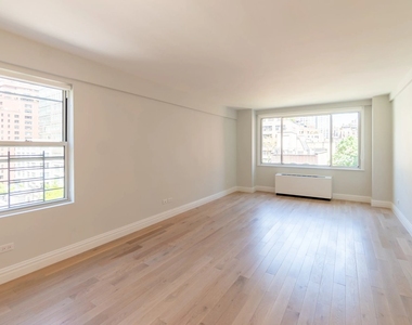 1BR in Midtown East - Photo Thumbnail 4
