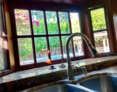 63 Sparrowhawk - Photo Thumbnail 19