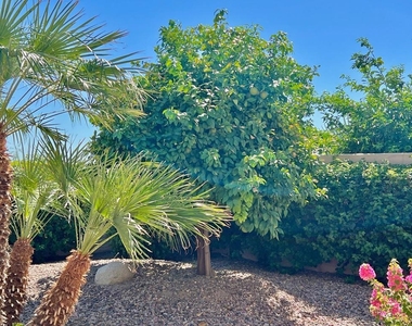 41530 Calle Pueblo - Photo Thumbnail 41
