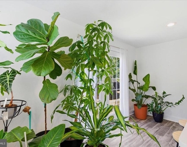 4318 Lawrence Street - Photo Thumbnail 14