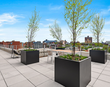 21 Garden St 11206 - Photo Thumbnail 17