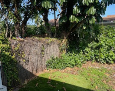 6110 Francis Street - Photo Thumbnail 3