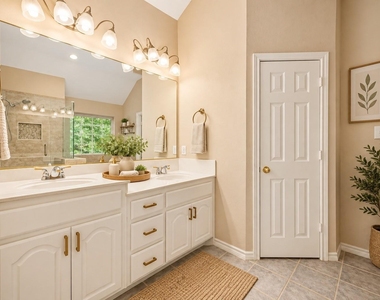 1009 Spanish Oak Drive - Photo Thumbnail 12
