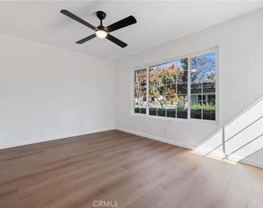 17222 Citron - Photo Thumbnail 36