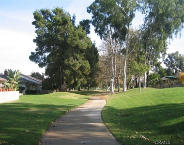 17222 Citron - Photo Thumbnail 55