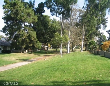 17222 Citron - Photo Thumbnail 54